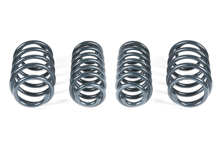 Racingline Sport lowering springs - Golf 8 GTI